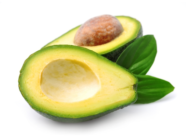 Aguacate común