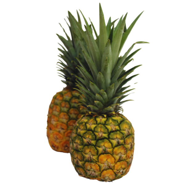 Piña Oro Miel